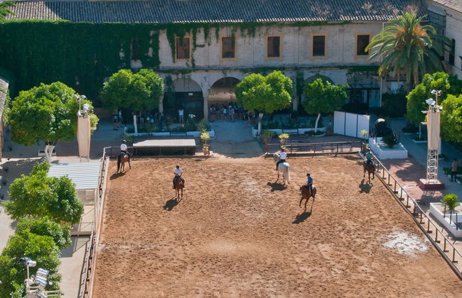 Spettacolo equestre alle Caballerizas Reales - Foto 1