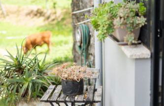 Sousa Horizonte - Louredo - Foto 23