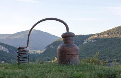 Domaine de L'Essentiel de Lavande - Foto 26