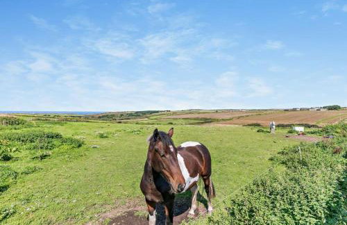 1 Bed in Penzance oc-henst - Foto 18