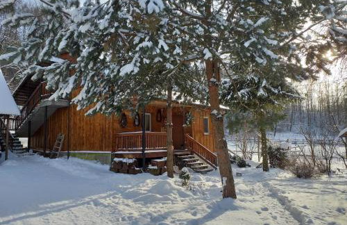 Świerkowe Rancho - Foto 1