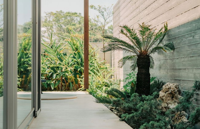 tanegashimaArakibekkan - Foto 35