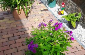 Ferienwohnung Liebscher - Foto 17