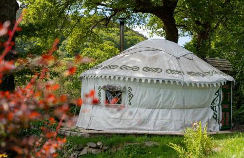 Hapus Yurt - Two Beautiful Yurts and Barn Cottage - Foto 27