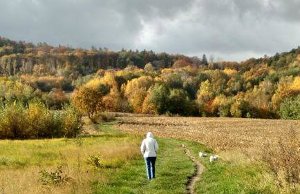 Słoneczne apartamenty - Photo 8