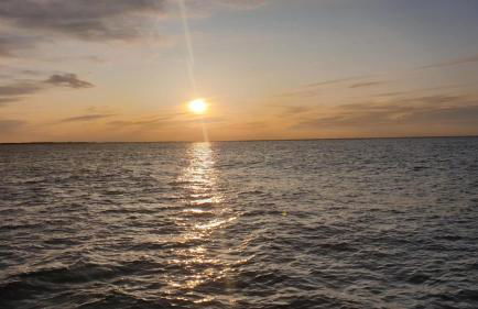 Ferienhaus Steinpicker - Foto 29