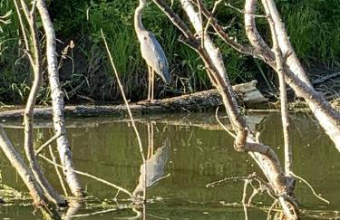 Private 5-Acre Escape - Pool, Lake & Gardens - Foto 38