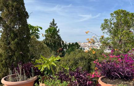 Calm & Design Suite - Foto 21