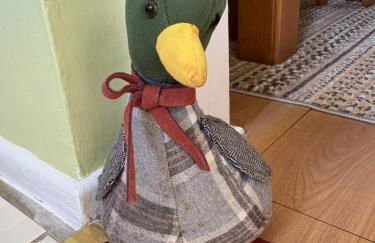 Home from Home in our Self-Contained Annexe - Foto 26