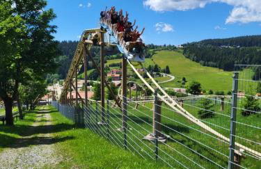 Bergzauber Bayerwald - voll ausgestattetes Familienapartment mit Pool - Foto 15