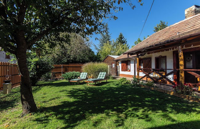 The Bird of Happiness-heaven for Dogs - Foto 34