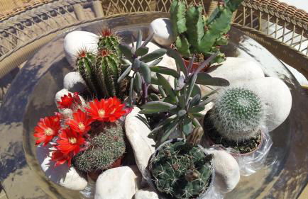 Cascadas de la Marina - Foto 22