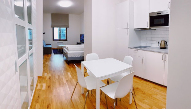 Residence u Naplavky - Foto 5, Cocina privada