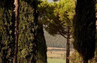 Agriturismo Podere Tresa - Photo 9