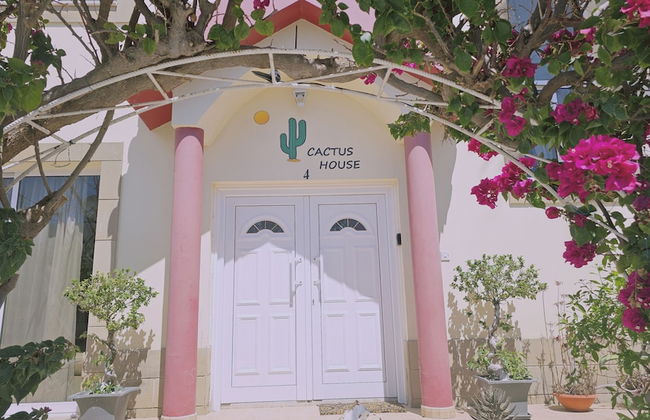 122 VOR - Stay Cactus House - Foto 61