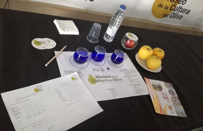 Visita guiada por el Museo del Olivo + Cata de aceites - Foto 12