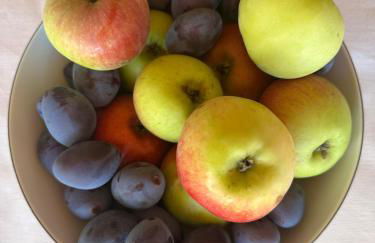 Ickelhaus 2 - Foto 15