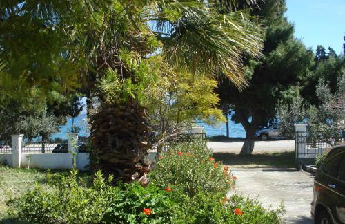 Elea Guesthouse - Photo 70