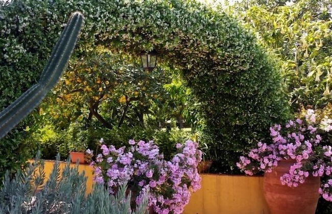 La Terra del Mezzo - Foto 41