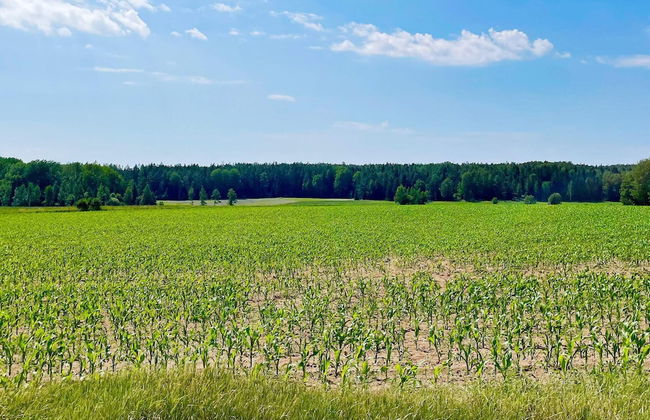 4 Person Holiday Home in Edsbruk - Foto 30