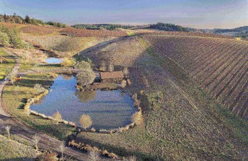 The Lakehouse - Foto 8