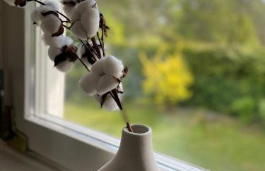 Kaszubski Zakątek Niesiołowice - Foto 17