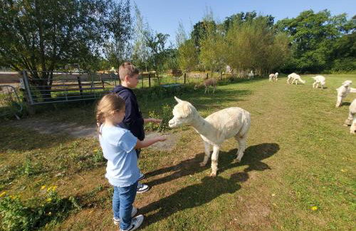 Dartmoor Reach Alpaca Farm - Foto 8