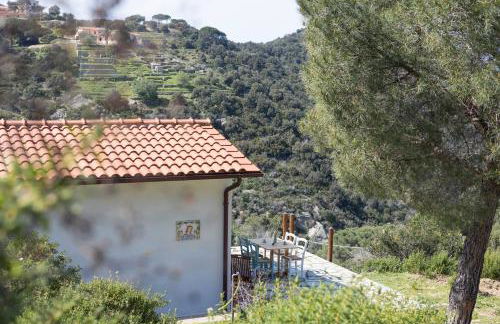 Appartamento la Lucciola - HelloElba - Foto 1