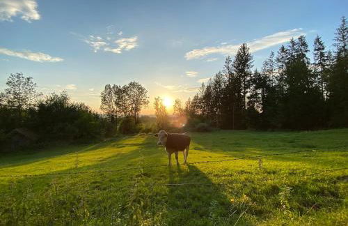 Chalet am kleinen See - Foto 64