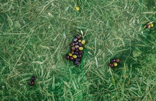 Casa de diseño con gran terraza - Foto 55