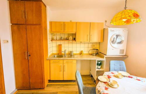 Pension bei Goscha mit Schlossblick - Photo 9