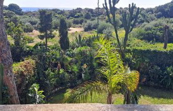 Garden Cottage at Casa Madden - Foto 21