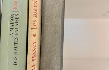 Le Saint Georges avec terrasse, Hyper centre ville - Foto 16