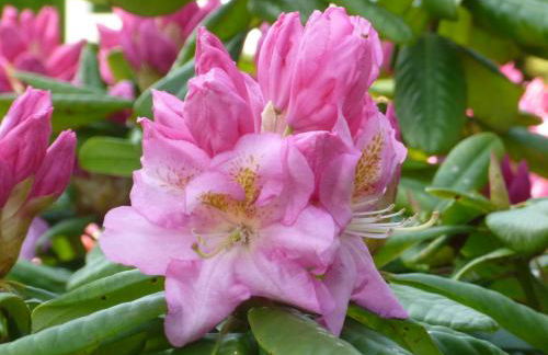 Fehn Appartements - Foto 53