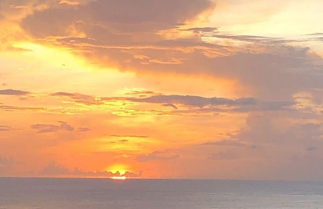 Castara Inn - Photo 61