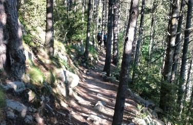 Ca l'ESTRELLA - Foto 38