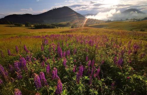 3 Peaks Houses - Domki Całoroczne - Foto 48