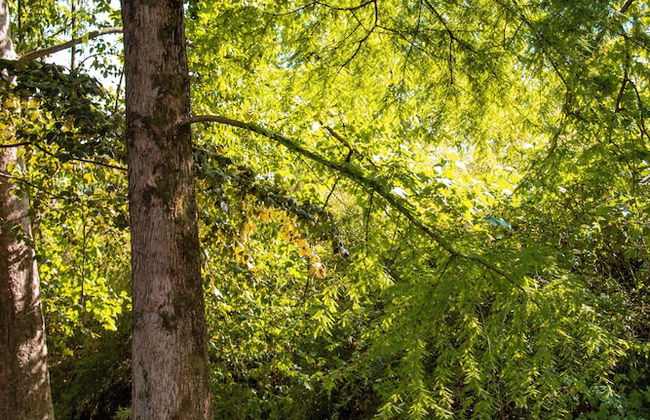 Villa Solatia - Foto 32