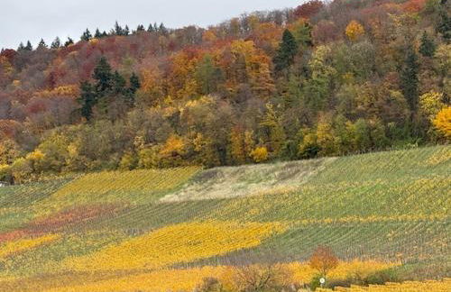 Panorama 180 - Foto 79