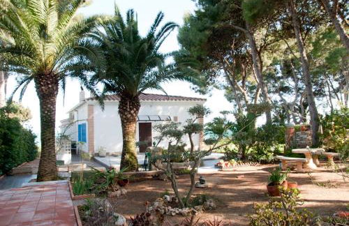 Sargantana Blava - Foto 57