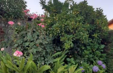 La Celestina - Foto 18