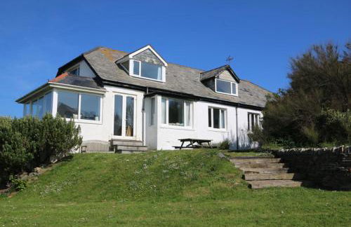 Gullsway Sandpiper - Foto 2