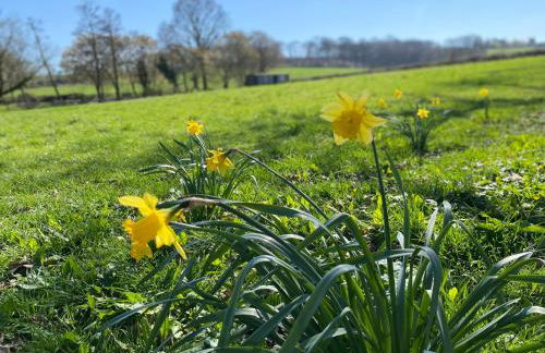 The Hoppers' Halt - Foto 13