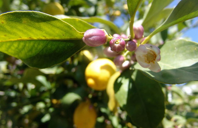 Hotel El Baciyelmo - Foto 39