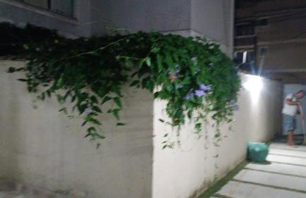 AP térreo-Rio das Ostras próx Enseada -Costazul - Foto 22