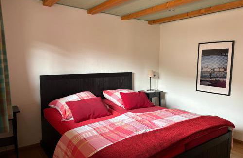 Historisches Schwarzwaldhaus - Foto 74