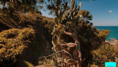 Villa Ortensia - Foto 4