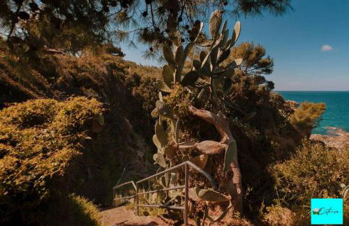 Villa Ortensia - Foto 4