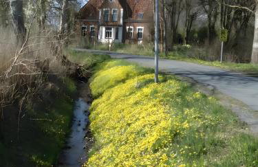 Ferienhof Schülp - Foto 16