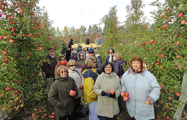 Tour in Montevideo - Foto 4